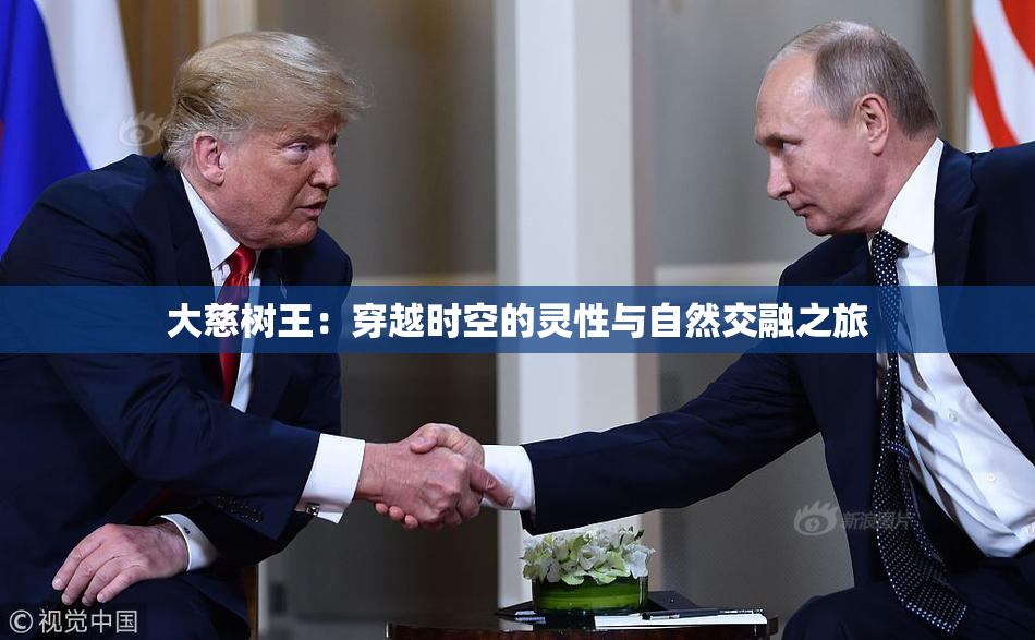 大慈树王：穿越时空的灵性与自然交融之旅