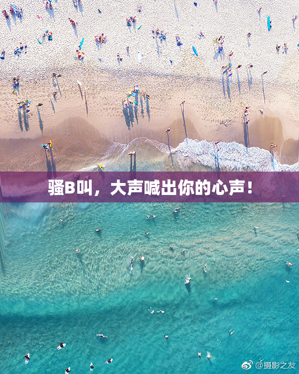 骚B叫，大声喊出你的心声！