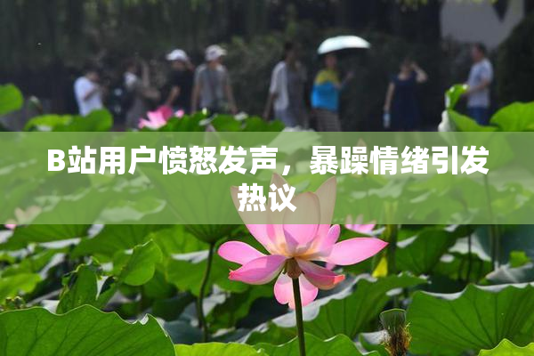 B站用户愤怒发声，暴躁情绪引发热议