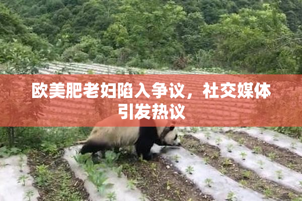 欧美肥老妇陷入争议，社交媒体引发热议
