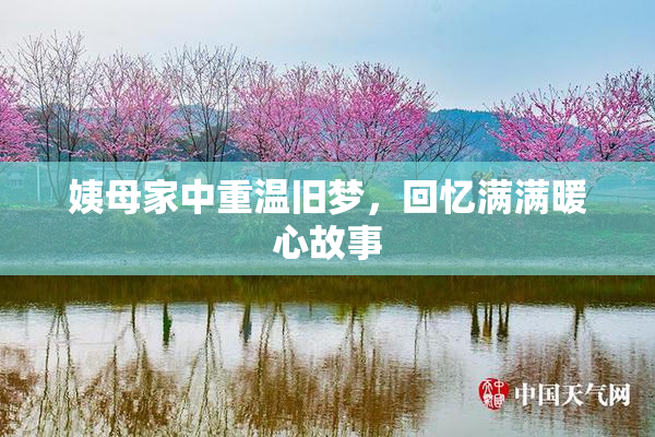 姨母家中重温旧梦，回忆满满暖心故事