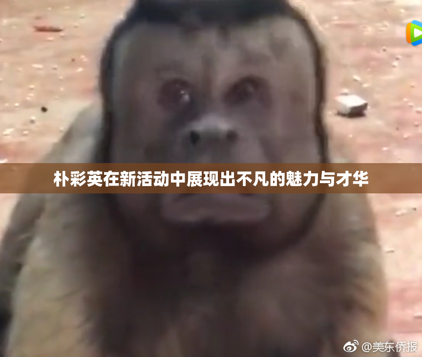 朴彩英在新活动中展现出不凡的魅力与才华