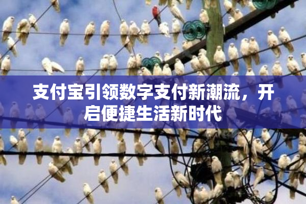 支付宝引领数字支付新潮流，开启便捷生活新时代