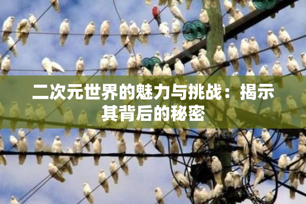 二次元世界的魅力与挑战：揭示其背后的秘密
