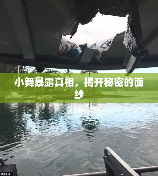 小舞暴露真相，揭开秘密的面纱