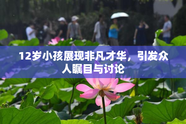 12岁小孩展现非凡才华，引发众人瞩目与讨论