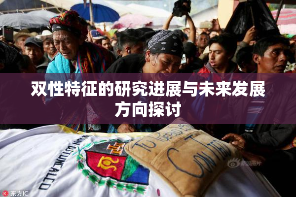 双性特征的研究进展与未来发展方向探讨