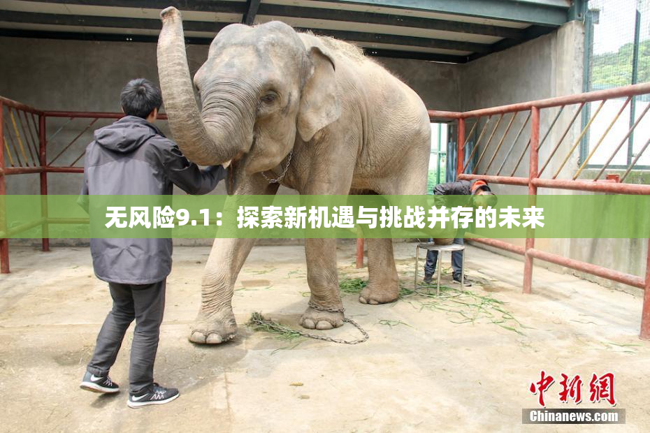 无风险9.1：探索新机遇与挑战并存的未来
