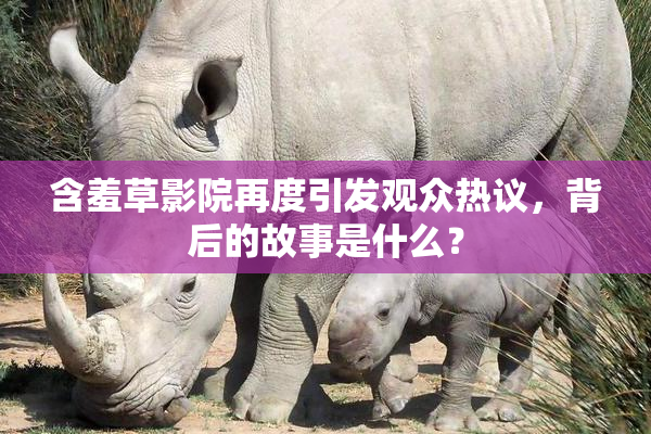 含羞草影院再度引发观众热议，背后的故事是什么？