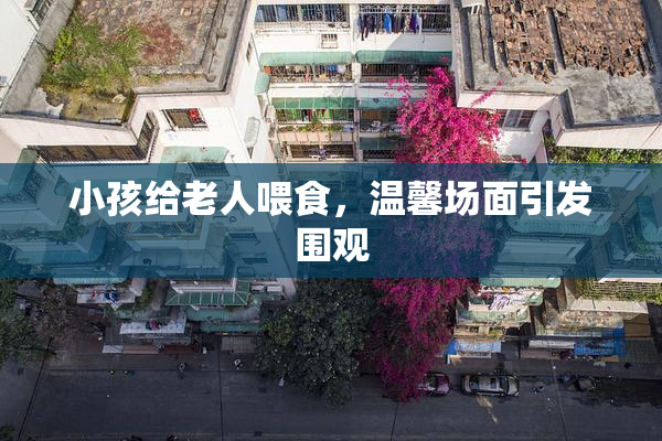 小孩给老人喂食，温馨场面引发围观
