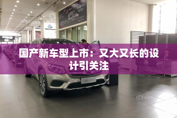 国产新车型上市：又大又长的设计引关注