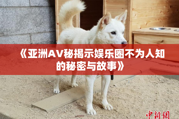 《亚洲AV秘揭示娱乐圈不为人知的秘密与故事》