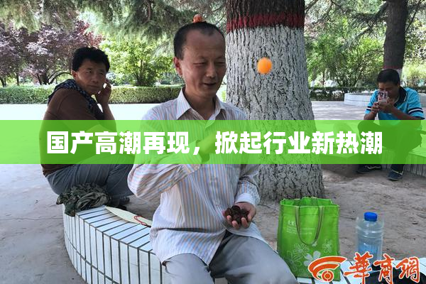 国产高潮再现，掀起行业新热潮
