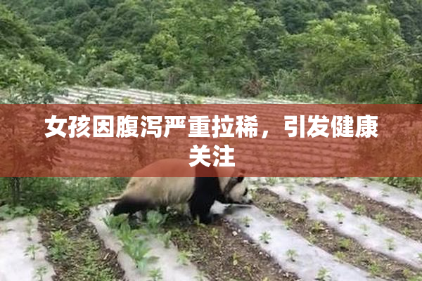 女孩因腹泻严重拉稀，引发健康关注
