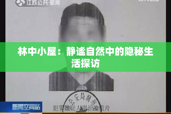 林中小屋：静谧自然中的隐秘生活探访