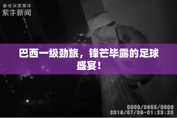 巴西一级劲旅，锋芒毕露的足球盛宴！