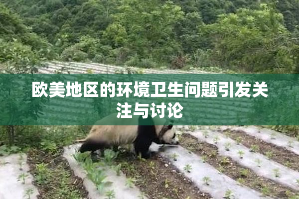 欧美地区的环境卫生问题引发关注与讨论