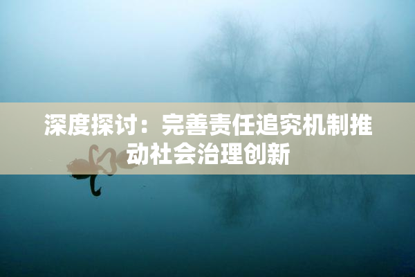 深度探讨：完善责任追究机制推动社会治理创新