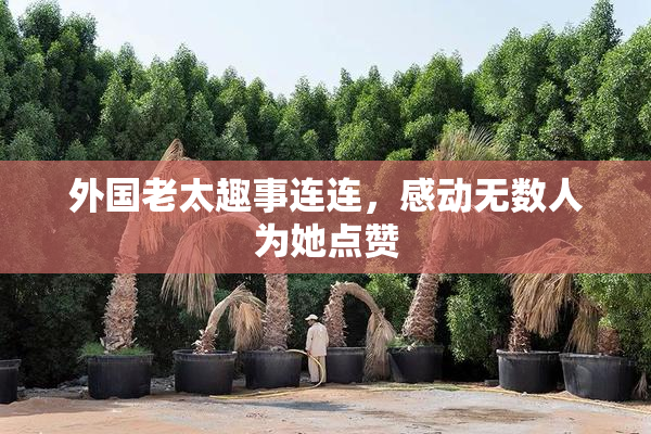 外国老太趣事连连，感动无数人为她点赞