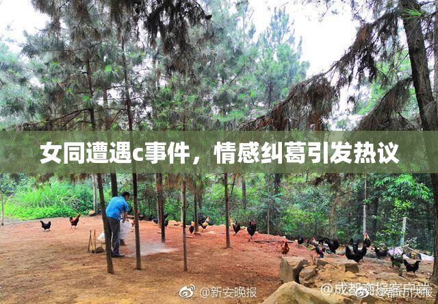 女同遭遇c事件，情感纠葛引发热议