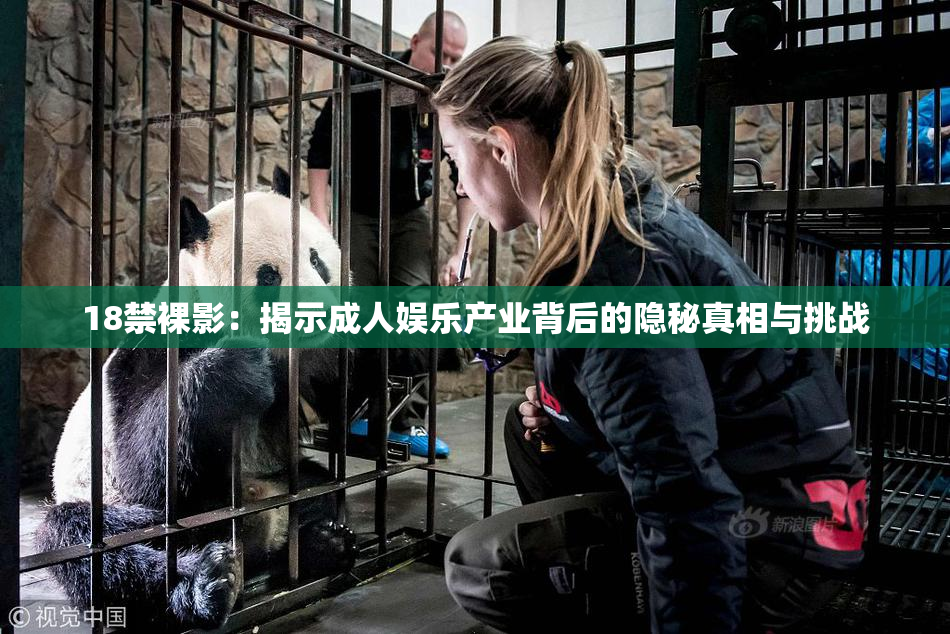 18禁裸影：揭示成人娱乐产业背后的隐秘真相与挑战