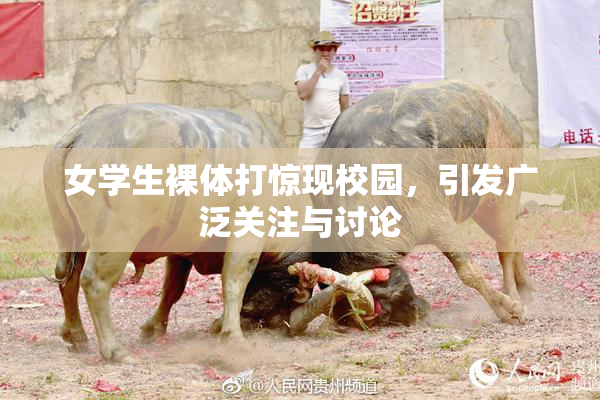 女学生裸体打惊现校园，引发广泛关注与讨论