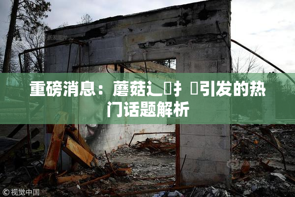 重磅消息：蘑菇辶喿扌畐引发的热门话题解析