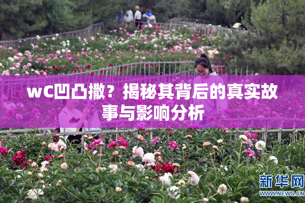 wC凹凸撒？揭秘其背后的真实故事与影响分析