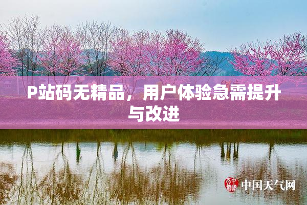 P站码无精品，用户体验急需提升与改进