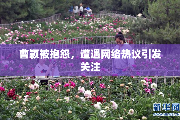 曹颖被抱怨，遭遇网络热议引发关注