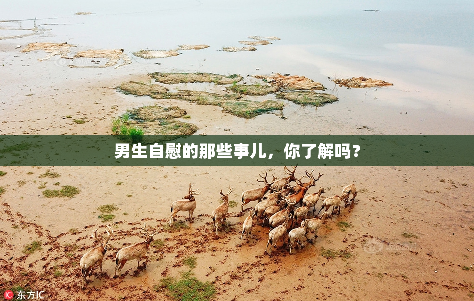 男生自慰的那些事儿，你了解吗？