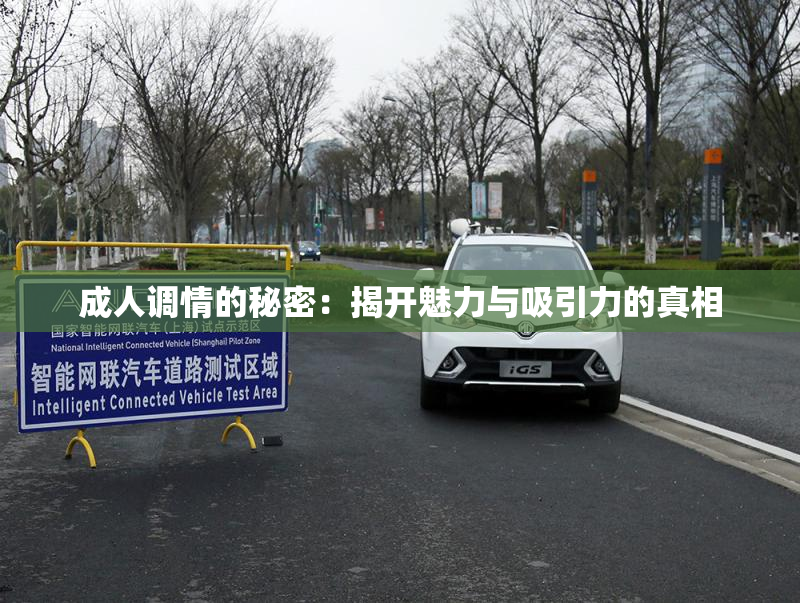 成人调情的秘密：揭开魅力与吸引力的真相