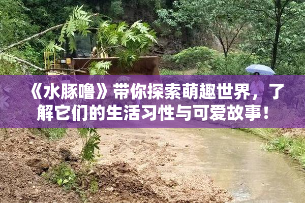 《水豚噜》带你探索萌趣世界，了解它们的生活习性与可爱故事！