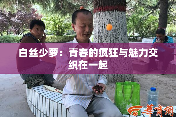白丝少萝：青春的疯狂与魅力交织在一起