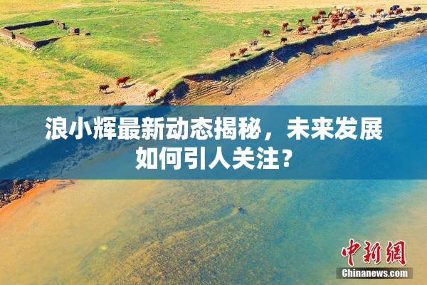 浪小辉最新动态揭秘，未来发展如何引人关注？