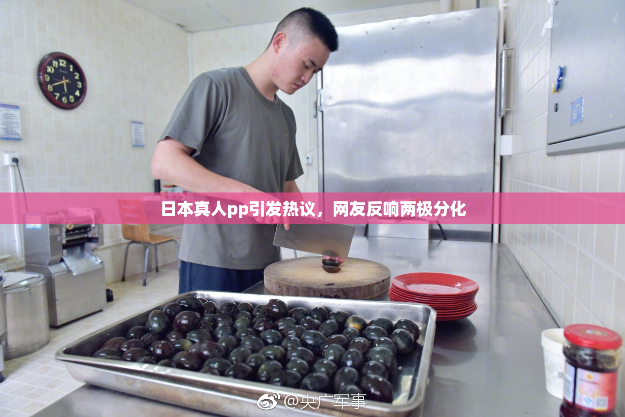 日本真人pp引发热议，网友反响两极分化