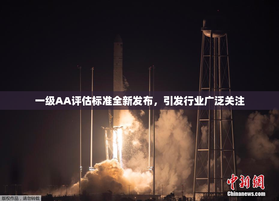 一级AA评估标准全新发布，引发行业广泛关注