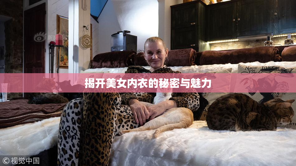 揭开美女内衣的秘密与魅力