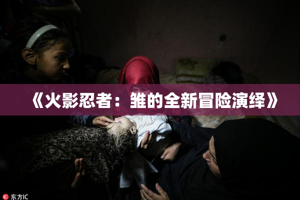 《火影忍者：雏的全新冒险演绎》