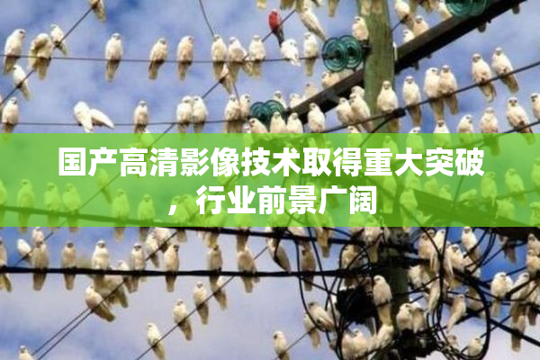 国产高清影像技术取得重大突破，行业前景广阔