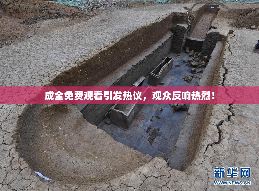 成全免费观看引发热议，观众反响热烈！