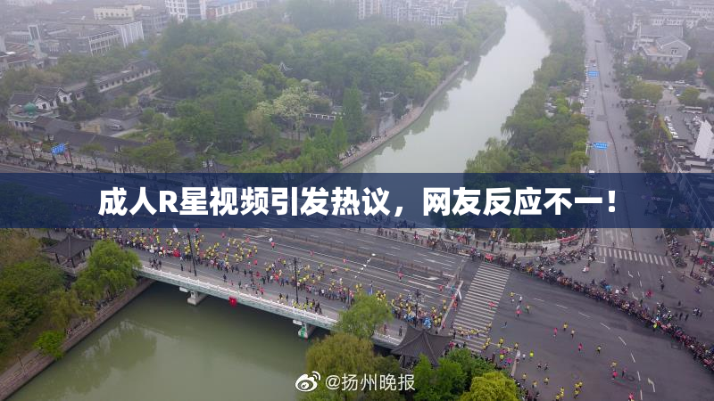 成人R星视频引发热议，网友反应不一！