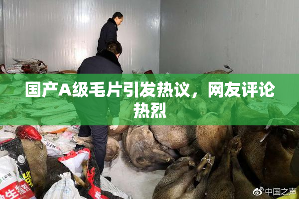 国产A级毛片引发热议，网友评论热烈