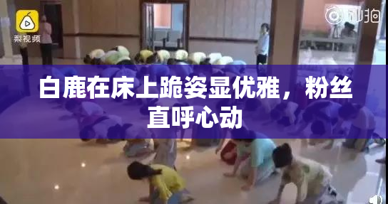 白鹿在床上跪姿显优雅，粉丝直呼心动