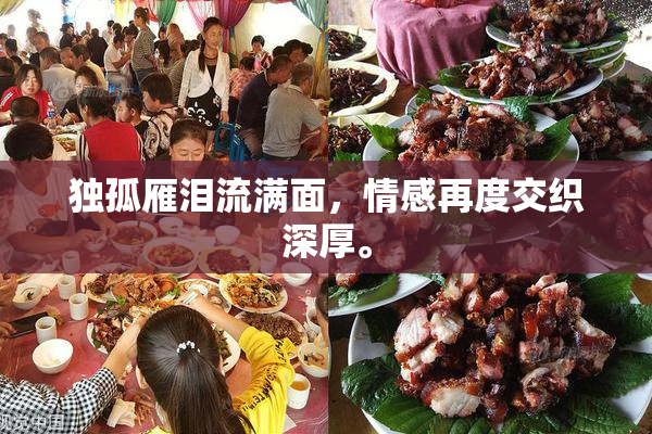 独孤雁泪流满面，情感再度交织深厚。
