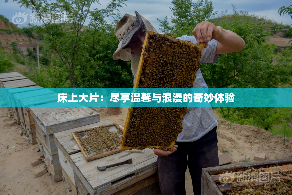 床上大片：尽享温馨与浪漫的奇妙体验