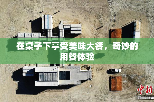 在桌子下享受美味大餐，奇妙的用餐体验