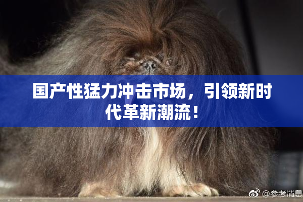 国产性猛力冲击市场，引领新时代革新潮流！