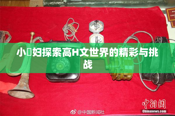 小婬妇探索高H文世界的精彩与挑战