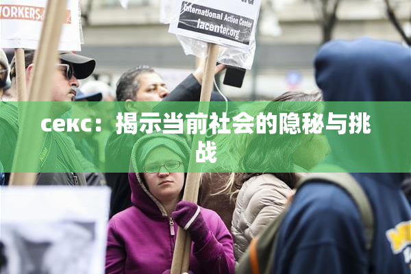 ceкс：揭示当前社会的隐秘与挑战